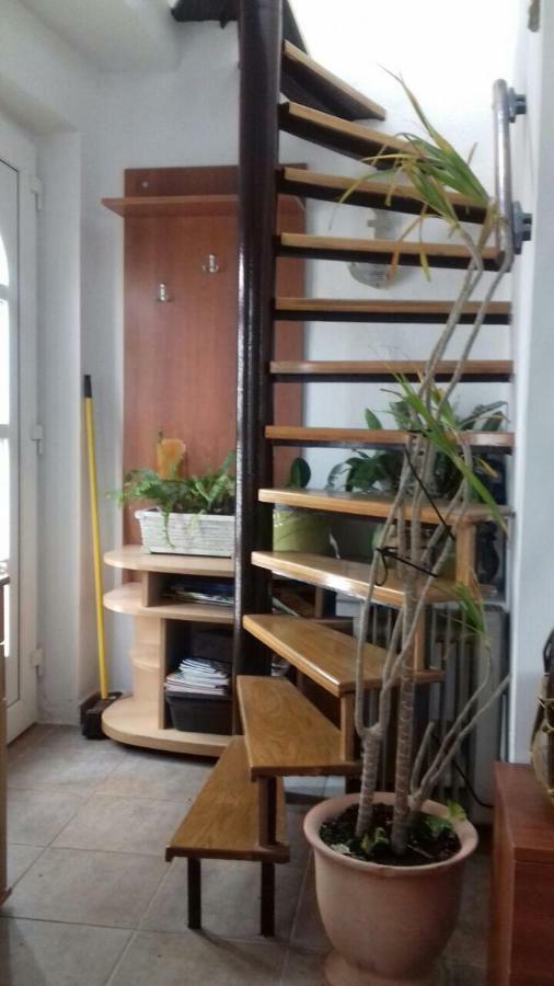 Apartment Senada Premantura Zewnętrze zdjęcie